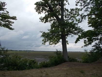 State Ports Authority site off Jack Primus Road